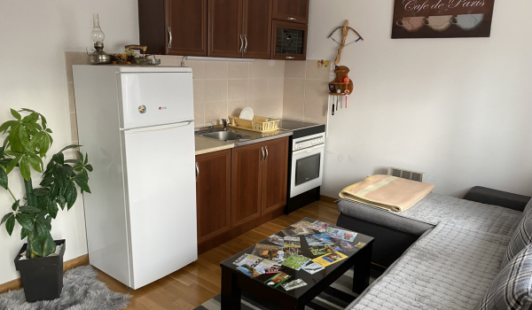 Zlatibor smeštaj, Smeštaj Zlatibor najpovoljnije cene, Apartmani Zlatibor direktno od vlasnika