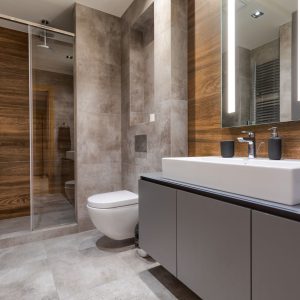 Zlatibor smeštaj, Smeštaj Zlatibor najpovoljnije cene, Apartmani Zlatibor direktno od vlasnika