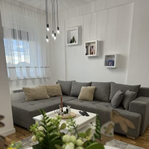 Zlatibor smeštaj, Smeštaj Zlatibor najpovoljnije cene, Apartmani Zlatibor direktno od vlasnika