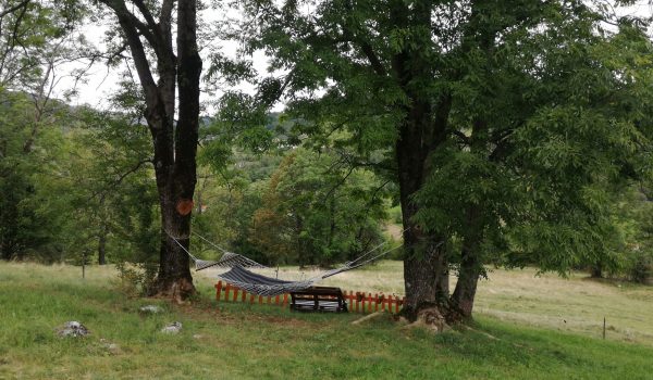 Zlatibor smeštaj, Smeštaj Zlatibor najpovoljnije cene, Apartmani Zlatibor direktno od vlasnika