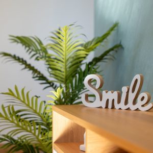 Zlatibor, Smeštaj Zlatibor najpovoljnije cene, Apartmani Zlatibor direktno od vlasnika, Apartman BlueMataki