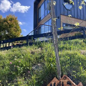 Zlatibor, Smeštaj Zlatibor najpovoljnije cene, Apartmani Zlatibor direktno od vlasnika,