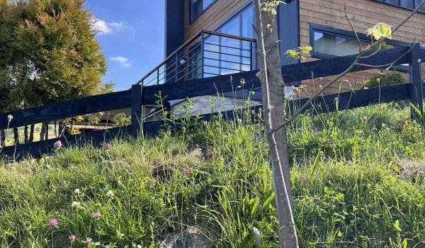 Zlatibor, Smeštaj Zlatibor najpovoljnije cene, Apartmani Zlatibor direktno od vlasnika,