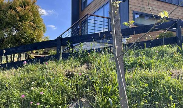 Zlatibor, Smeštaj Zlatibor najpovoljnije cene, Apartmani Zlatibor direktno od vlasnika,