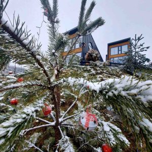 Zlatibor, Smeštaj Zlatibor najpovoljnije cene, Apartmani Zlatibor direktno od vlasnika,