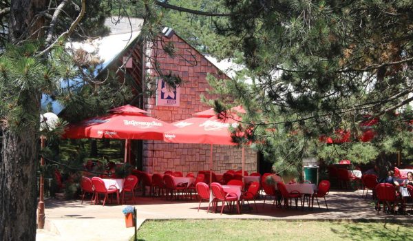 Odmaralište Narcis-1