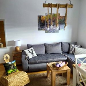 Zlatibor, Smeštaj Zlatibor najpovoljnije cene, Apartmani Zlatibor direktno od vlasnika,