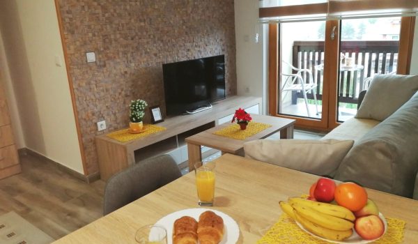 Zlatibor, Smeštaj Zlatibor najpovoljnije cene, Apartmani Zlatibor direktno od vlasnika,